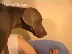 A playgirl who was bored found pleasure in a dog's ramrod.